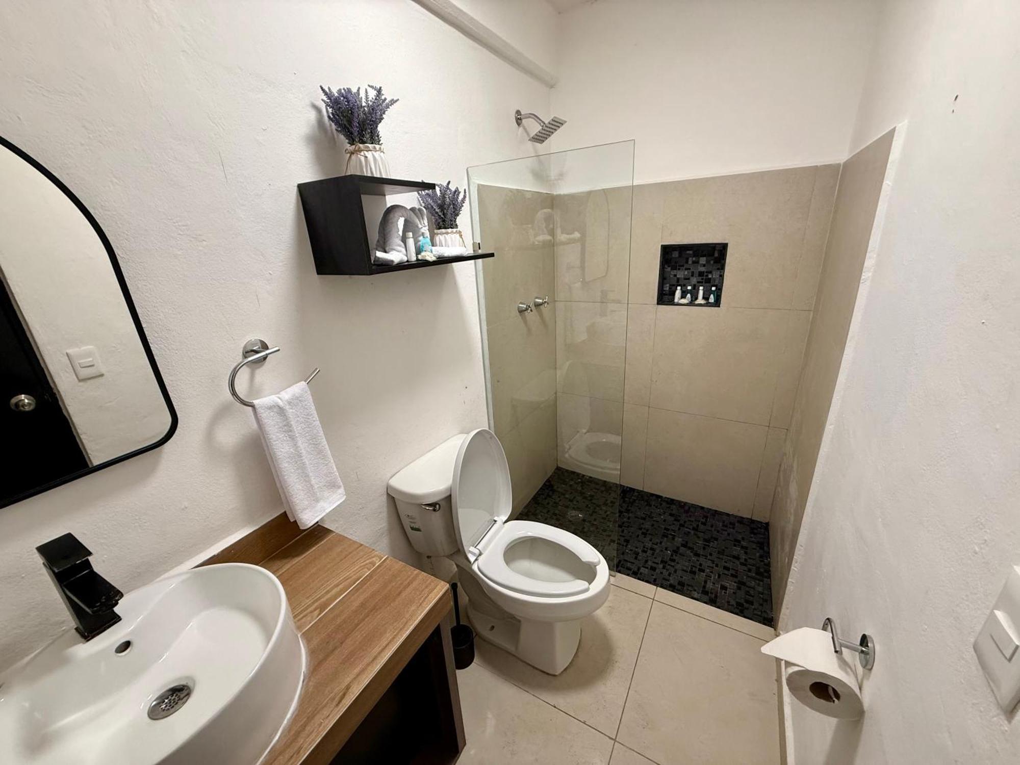 מלון פלאייה דל כרמן Casa Tortuga 5Th Ave מראה חיצוני תמונה