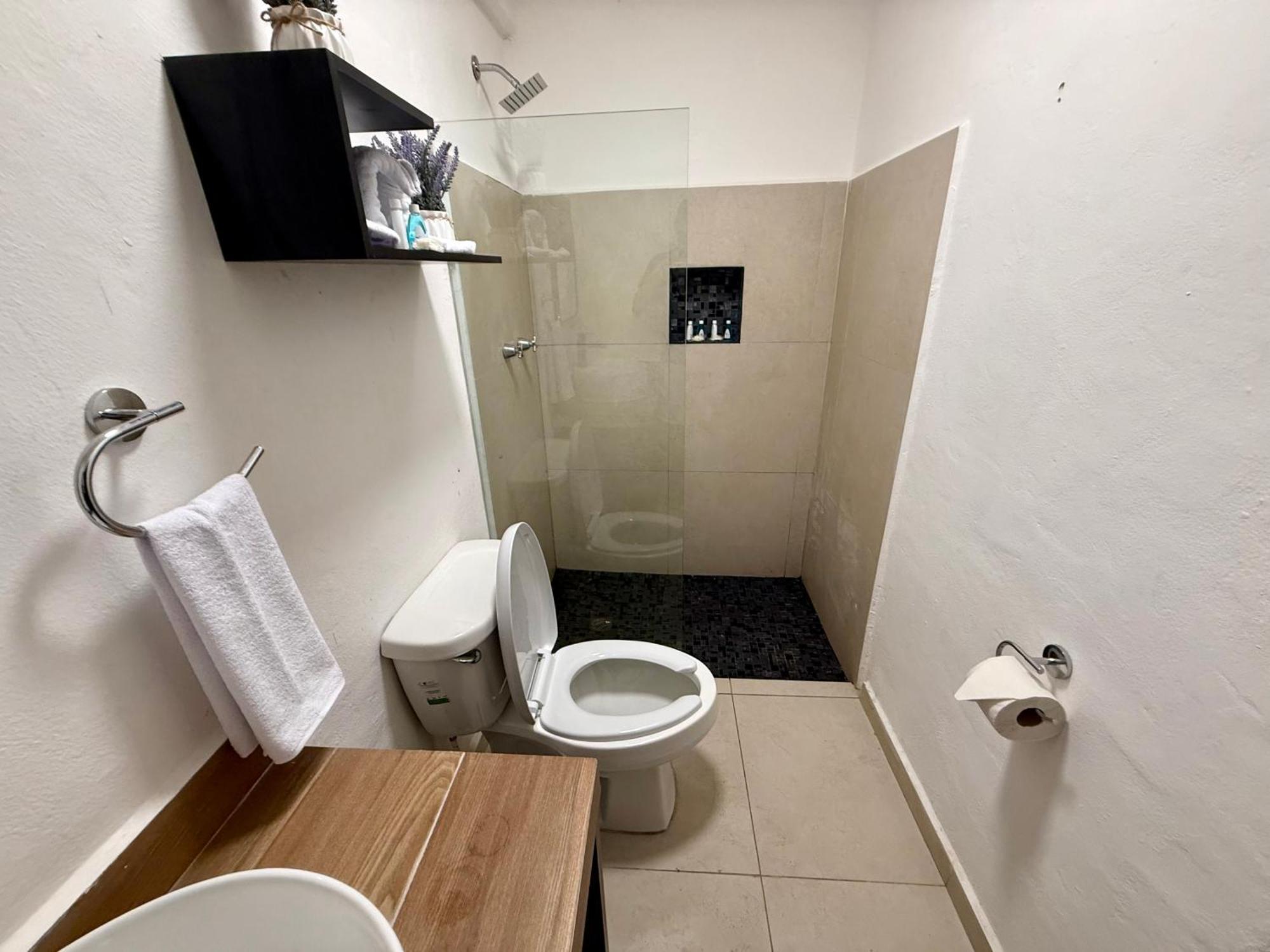 מלון פלאייה דל כרמן Casa Tortuga 5Th Ave מראה חיצוני תמונה