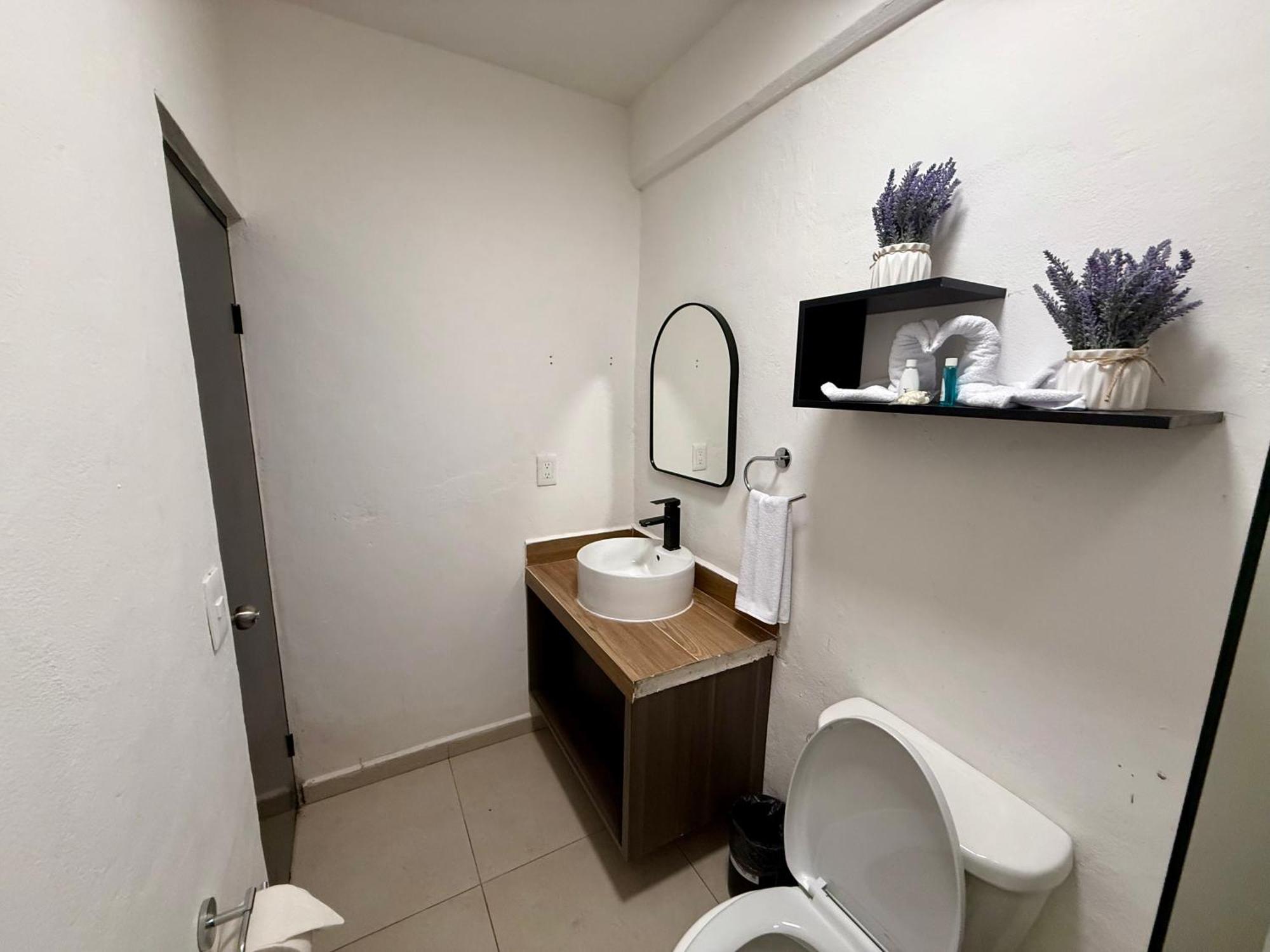 מלון פלאייה דל כרמן Casa Tortuga 5Th Ave מראה חיצוני תמונה