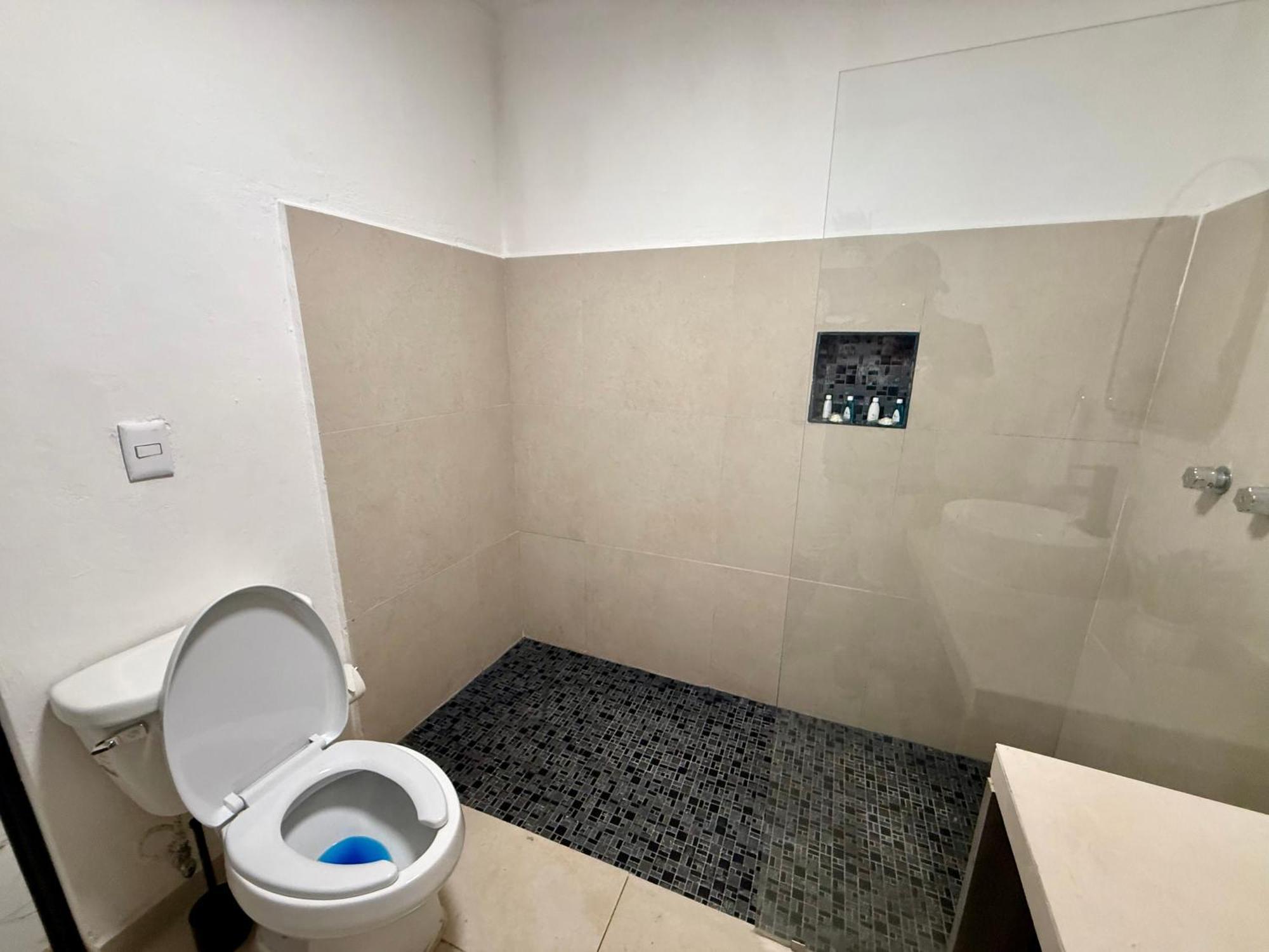 מלון פלאייה דל כרמן Casa Tortuga 5Th Ave מראה חיצוני תמונה