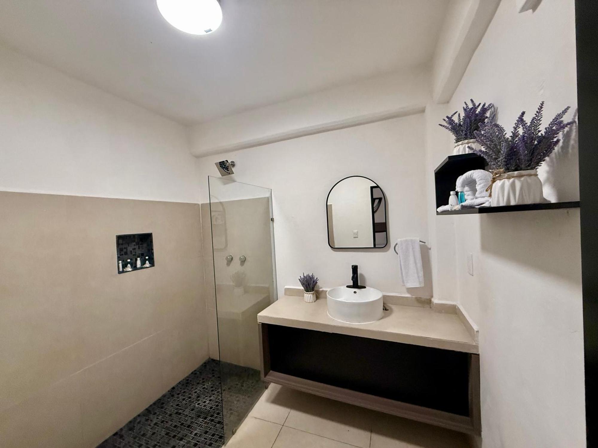 מלון פלאייה דל כרמן Casa Tortuga 5Th Ave מראה חיצוני תמונה