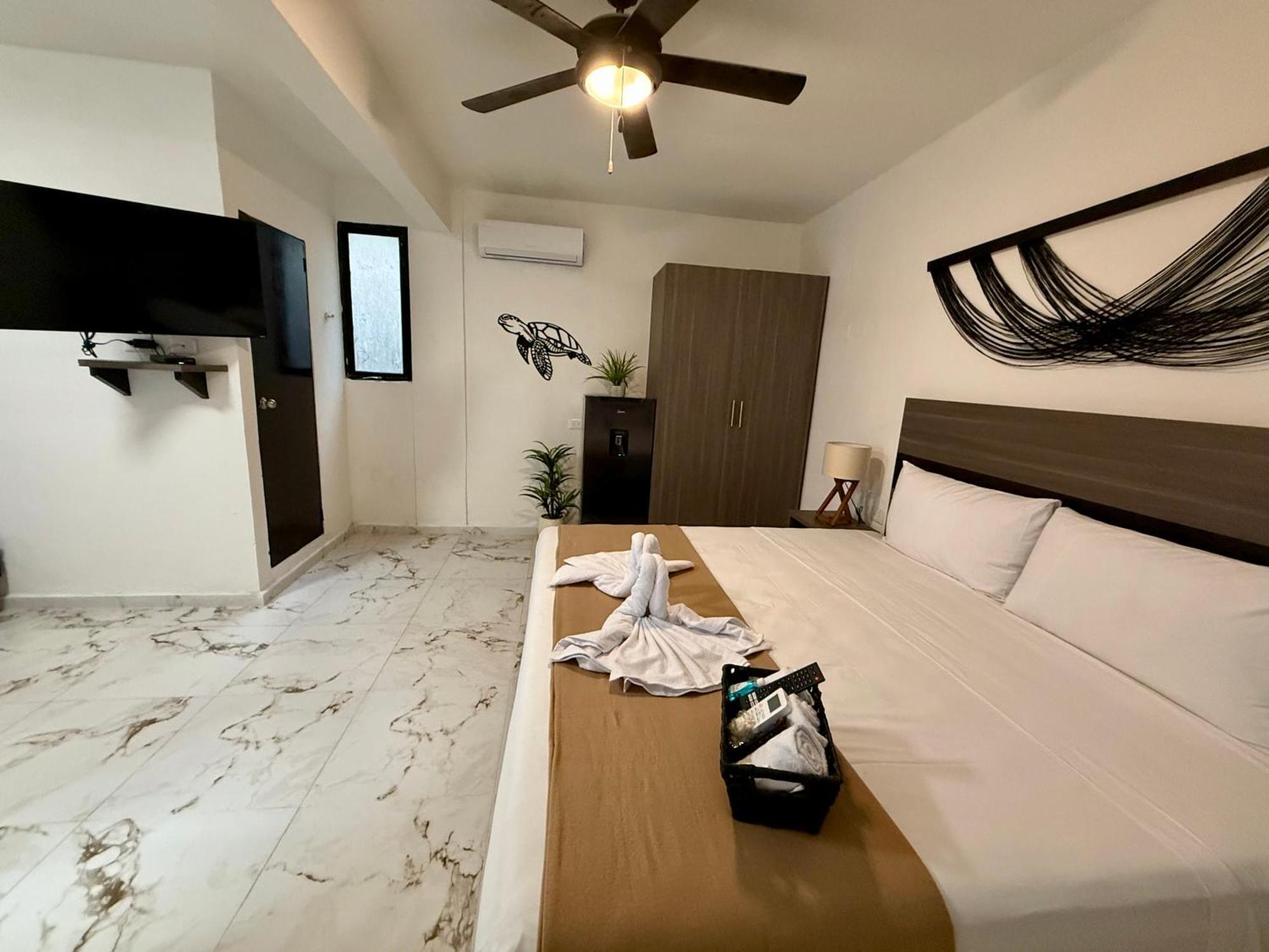 מלון פלאייה דל כרמן Casa Tortuga 5Th Ave מראה חיצוני תמונה