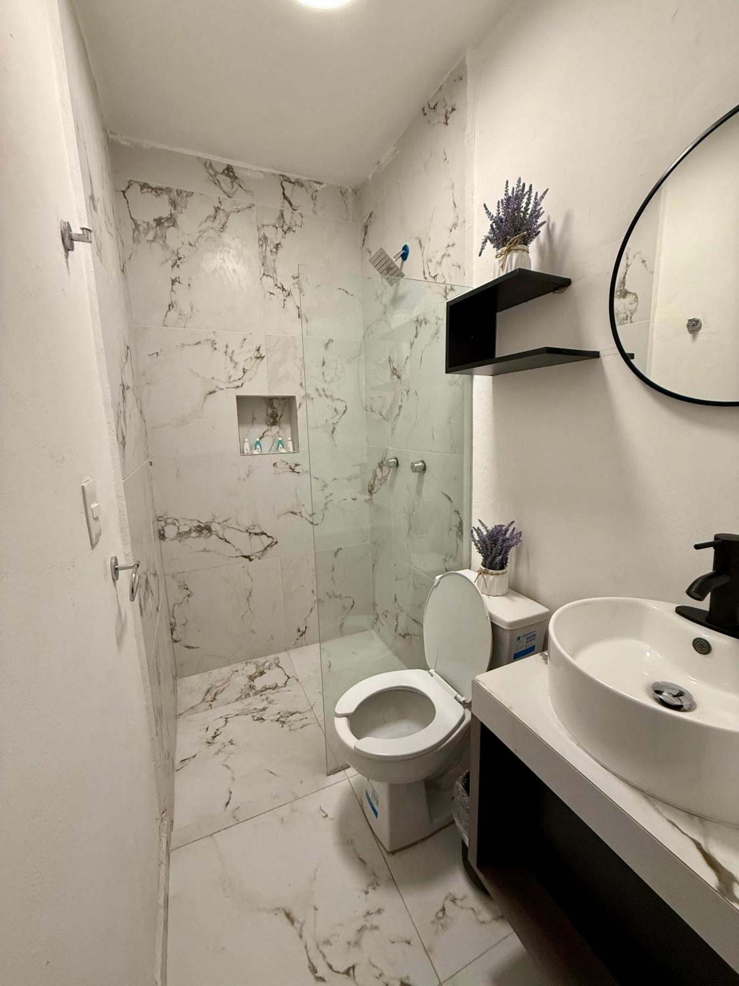 מלון פלאייה דל כרמן Casa Tortuga 5Th Ave מראה חיצוני תמונה