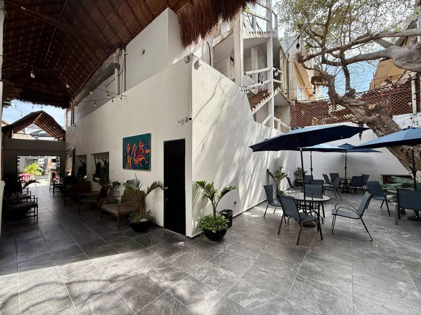 מלון פלאייה דל כרמן Casa Tortuga 5Th Ave מראה חיצוני תמונה
