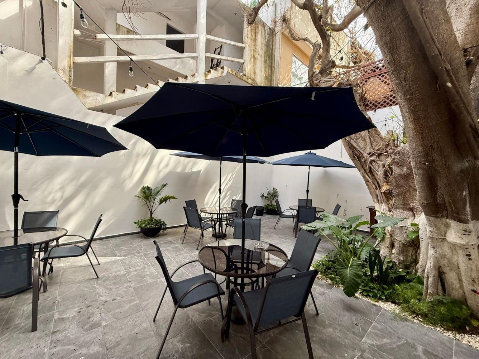 מלון פלאייה דל כרמן Casa Tortuga 5Th Ave מראה חיצוני תמונה