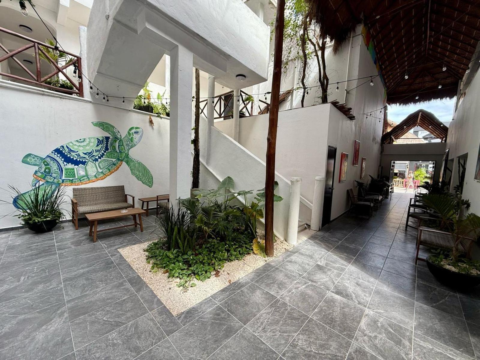 מלון פלאייה דל כרמן Casa Tortuga 5Th Ave מראה חיצוני תמונה