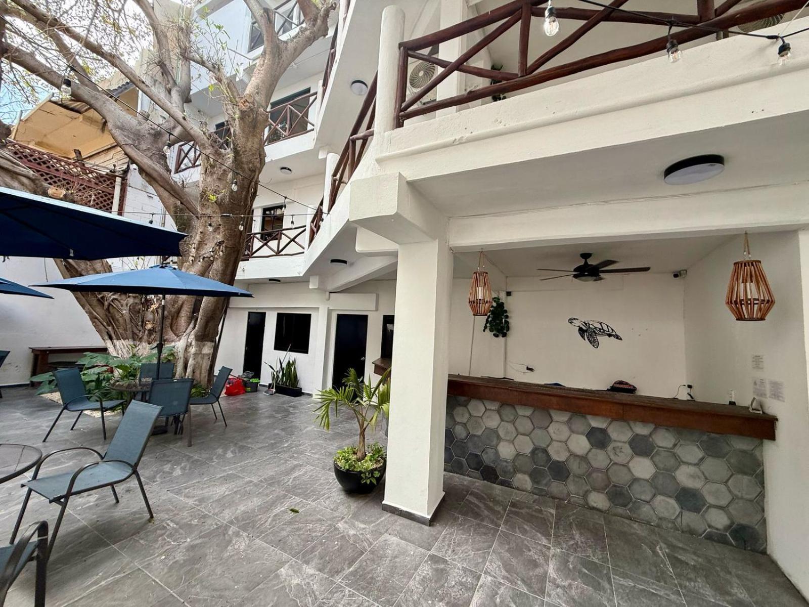מלון פלאייה דל כרמן Casa Tortuga 5Th Ave מראה חיצוני תמונה