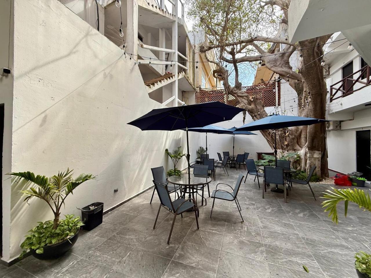 מלון פלאייה דל כרמן Casa Tortuga 5Th Ave מראה חיצוני תמונה